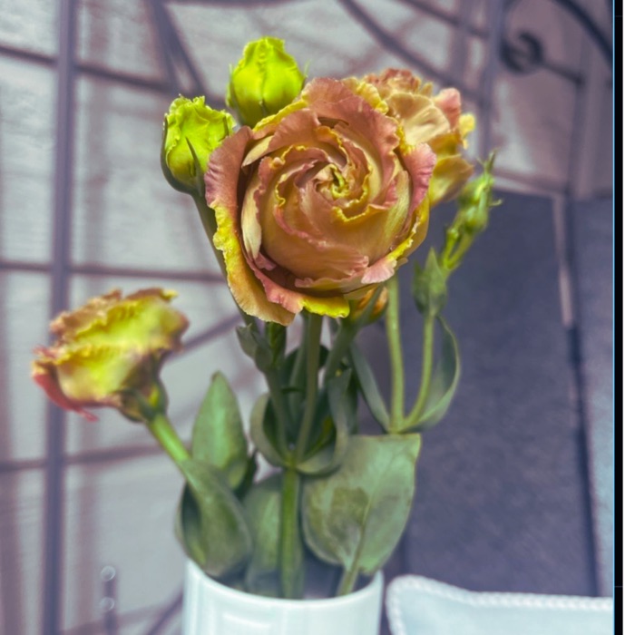 Fresh flower blooms from our Colorado flower farm