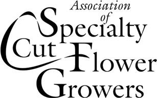 ASCFG Member Badge